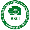 bsci logo